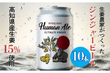 ジンジャービール 10本セット