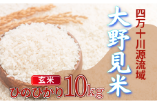 〈 新米予約 〉 大野見米 ヒノヒカリ 10kg ( 玄米 ) ご飯 米 お米 四万十 高知産