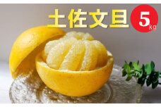 土佐文旦 【5kg】 サイズ混合 ＜2025年2月中旬頃より発送予定＞