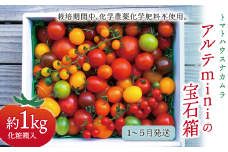 【2026年1月～5月頃発送】＜アルテminiの宝石箱 約1kg×1箱＞フルーツトマト 栽培期間中化学農薬・化学肥料不使用   トマトハウスナカムラ 