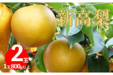 <2025年 10月上旬～中旬ごろ発送予定>　≪秀品≫ 新高梨 2玉（計約 1.6kg）1玉約800g以上  先行予約