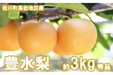 <2025年 9月上旬頃より発送予定>　豊水梨（約3kg／4～7玉）【期間限定・先行予約】