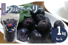 ＜ブルーベリー（冷凍）1kg＞ フルーツ くだもの 高知県 佐川町 果物 冷凍ブルーベリー 常備果物　＜＜２～５ヶ月程度で発送＞＞