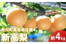 <2025年 10月上旬～中旬ごろ発送予定>　≪秀品≫  新高梨 4kg（4～6玉）和梨　先行予約
