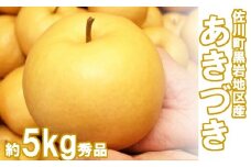 <2025年9月中旬頃より発送予定>　あきづき 梨（約5kg／8～12玉）【期間限定・先行予約受付】秋月梨　黒岩