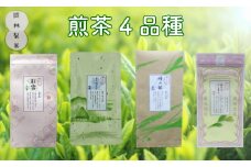 煎茶４品種セット