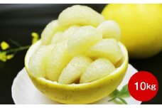 ＜2026年2月～3月頃お届け予定＞　土佐文旦（家庭用）【10kg】