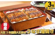 ＜最大5ヶ月待ち・日付指定不可＞大正二年創業！「大正軒」の国産うなぎ蒲焼（３尾/約７.５人前）