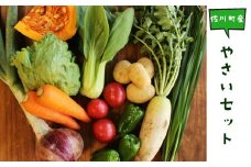 高知から直送！旬の季節のお野菜セット（7~9品）