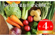 【年4回】高知から直送！旬の季節のお野菜定期便（7~9品）2回目以降着日指定可能 産地直送 旬の時期にお届け