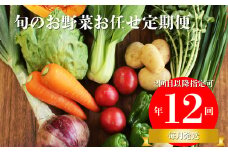 【年12回】高知から直送！旬の季節のお野菜定期便（7~9品）2回目以降着日指定可能 産地直送 旬の時期にお届け