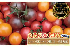 【2026年1月～8月頃発送】＜900g＞カラフル トマト 5種MIX フルティカなど　ましまファーム ミニトマト フルーツトマト アイメック®  ミックス フルティカ＆ミニ4種