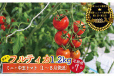 【2026年1月～8月頃発送】＜約1.2kg×7回 定期便＞訳あり アイメック フルティカ トマト＞ましまファーム ミニトマト フルーツトマト  ワケあり 規格外