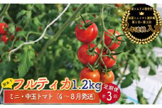 【4月～8月頃発送】＜約1.2kg×3回 定期便＞訳あり アイメック フルティカ トマト＞ましまファーム ミニトマト フルーツトマト  ワケあり 規格外 ＜2026年4月以降発送＞