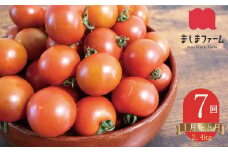 【2026年1月～8月頃発送】＜約2.4kg×7回 定期便＞訳あり アイメック フルティカ トマト ましまファーム ミニトマト フルーツトマト ワケあり 規格外