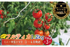 【1月～4月頃発送】＜約1.2kg×3回 定期便＞訳あり 規格外 フルティカ トマト ましまファーム ミニトマト フルーツトマト アイメック  ワケあり ＜2026年1月以降発送＞