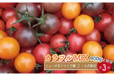 【1月～4月頃発送】＜約900g×3回 定期便 ＞カラフルトマト アイメック トマト 5種 MIX フルティカ ＞ましまファーム ミニトマト フルーツトマト  糖度  ＜2026年1月以降発送＞
