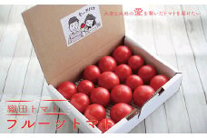 ＜＜2026年発送＞＞＜フルーツトマト 織田トマト 【約1kg】 真っ赤なフルーツ太陽＞ 細胞が喜び命が輝く大空と大地の愛を繋ぐ ＜毎年1月頃～5月頃まで発送＞