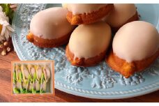 ゆずケーキ・レモンケーキ各5個（計10個）【おかしの家Repos（ルポ）】