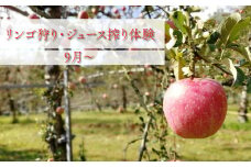 りんご狩り りんご収穫体験 + 生ジュース搾り体験 土本観光果樹園 お土産付 高知で果物狩り