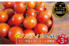 【1月～4月頃発送】＜約2.4kg×3回 定期便＞ 訳あり アイメック フルティカ トマト＞ましまファーム ミニトマト フルーツトマト  ワケあり 規格外 ＜2026年1月以降発送＞