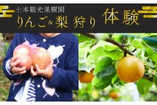 りんご狩り 梨狩り　果物収穫体験 + 生ジュース搾り体験 土本観光果樹園 お土産付 高知で果物狩り