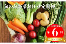 【年6回】高知から直送！旬の季節のお野菜定期便（7~9品）2回目以降着日指定可能 産地直送 旬の時期にお届け