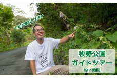 牧野公園ガイドツアー 2時間コース 牧野富太郎ゆかりの植物 説明 10名以下 プライベートツアー案内チケット 山野草 植物 草木 コケオ 朝ドラらんまん