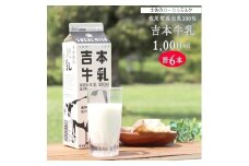 吉本牛乳（さかわの地乳 1L×6本セット） 吉本乳業 紙パック 1,000ml ぢちち 牛乳 地元の牛乳 NHKあさイチで紹介されました。 らんまん
