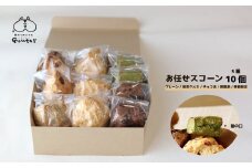 幸せのモーニングスコーン scone 5種10個 内容お任せ プレーン チョコ 抹茶くるみ 柑橘系 季節限定フレーバー各2個 ギフト 個包装 冷凍発送 グーテ