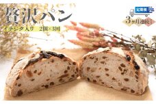 【3回定期便】イチジク入り☆限定！贅沢パン 天然酵母 パン ワインとの相性抜群 レーズン くるみ フィグ レザン どっしり きめが細かい ハードパン 自家製酵母 350g×2個を3回連続でお届け！