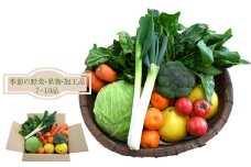 はちきんの店 野菜 セット 7~10品 野菜詰め合わせ 詰合せ 高知の野菜 旬の野菜 