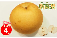 ＜2025年10月中に発送予定＞　≪訳あり品（変形 キズあり）≫　新高梨 4～6玉 （約 4kg）