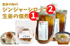 【佃煮1袋・シロップ2個】農家の嫁の生姜佃煮1袋70g ジンジャーシロップ200ml クラフトジンジャー 希釈 ごはんのお供（B）