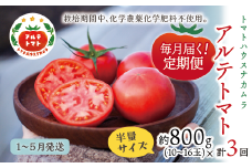 【2026年1月～5月頃発送】【定期便3回】＜アルテトマト 約800g（10‐16玉）×3箱＞計約2.4kg フルーツトマト 栽培期間中化学農薬・化学肥料不使用  トマトハウスナカムラ  佐川町 高知県