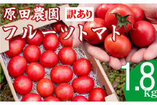 【12月下旬～5月頃発送】＜訳あり フルーツトマト 原田農園 約1.8kg 箱入＞ 桃太郎 家庭用 ワケあり 変形 キズあり 高知県 佐川町　＜2025年12月下旬頃より順次発送＞