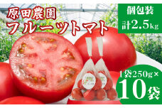【12月下旬～5月頃発送】＜秀品 A品 フルーツトマト 原田農園 約2.5kg 個包装 1袋250g×10袋＞ 桃太郎  高知県 佐川町　＜2025年12月下旬頃より順次発送＞