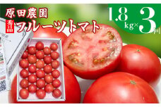 ＜2025年12月下旬頃より順次発送＞【3回定期便】フルーツトマト 原田農園 約1,800g 大箱（12月下旬～5月頃発送）