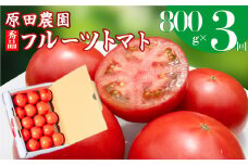 ＜2025年12月下旬頃より順次発送＞【3回定期便】フルーツトマト 原田農園 約800g 小箱　（12月下旬～5月頃発送）