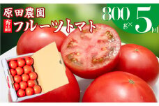 【5回定期便】フルーツトマト 原田農園 約800g 小箱　（12月下旬～5月頃発送）＜2025年12月下旬頃より順次発送＞