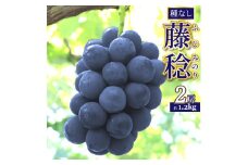 ＜藤稔 約1.2kg（1～2房）＞先行予約 ぶどう grape fruit 藤みのり フレッシュ 旬 果物 くだもの 高知県 佐川町産＜2025年8月上旬以降に発送＞
