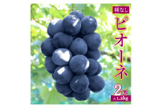 ＜ピオーネ 約1.2kg（1～2房）＞先行予約 ぶどう grape fruit フレッシュ 旬 果物 くだもの 高知県 佐川町産＜2025年8月上旬以降に発送＞