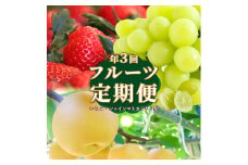 ＜フルーツ 定期便（全３回）＞ ［いちご シャインマスカット 梨］ ぶどう fruit 苺 おすすめ 旬 果物 くだもの 高知県 佐川町産