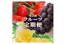 ＜フルーツ 定期便（全３回）＞ ［いちご ピオーネ  梨］  ぶどう fruit 苺 おすすめ 旬 果物 くだもの 高知県 佐川町産
