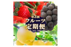 ＜フルーツ 定期便（全３回）＞ ［いちご　藤稔　梨］  ぶどう fruit 苺 おすすめ 旬 果物 くだもの 高知県 佐川町産