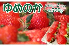 ＜2025年12月頃～2026年2月頃発送（予定）＞【ゆめのか 285g×2パック 合計570g】 いちご 苺 果物 フルーツ 果実 贈答用 ギフト 旬 イチゴ ストロベリー