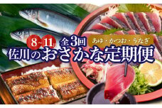 ＜年3回【さかわのお魚定期便（配送月：8月～11月）】うなぎ　かつおのタタキ　鮎＞鰹のタタキ 高知県 大正軒 鮎屋仁淀川 西村商店 かつおのたたき 鰻蒲焼き あゆ