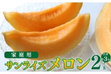 ＜2026年7月中旬頃～8月中旬ごろ発送予定）＞【メロン 2玉 合計約3kg】 サンライズメロン 赤肉 めろん 赤 果物 フルーツ 果実 家庭用 旬 ちょっと訳あり 高知県 佐川町 はちきんの店 