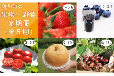 ＜佐川のフルーツ・野菜 定期便（全５回）＞いちご 冷凍ブルーベリー フルーツトマト 梨 夢甘栗