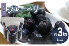 【ブルーベリー（冷凍）3kg】　高知県 佐川町 果物 フルーツ 国産  冷凍ブルーベリー 常備果物　＜４～６ヶ月程度で発送予定（申込状況により遅れる場合があります）＞